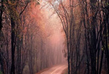 新闻最新消息今天大事件是什么,最新新闻今日大事件