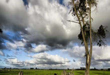 殡仪馆骨灰寄存收费标准,殡仪馆骨灰寄存收费标准是多少