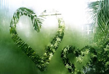 百度百科服务标准,百度服务条款