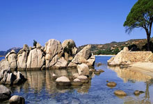 新闻最新消息今天大事件是什么,最新新闻今日大事件