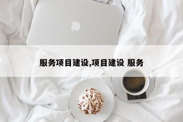 服务项目建设,项目建设 服务