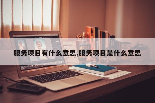 服务项目有什么意思,服务项目是什么意思